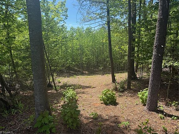2nd image of 0 Parks Ridge Rd