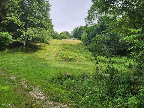 2224 Ocean Rd NE, Salineville, OH 43945