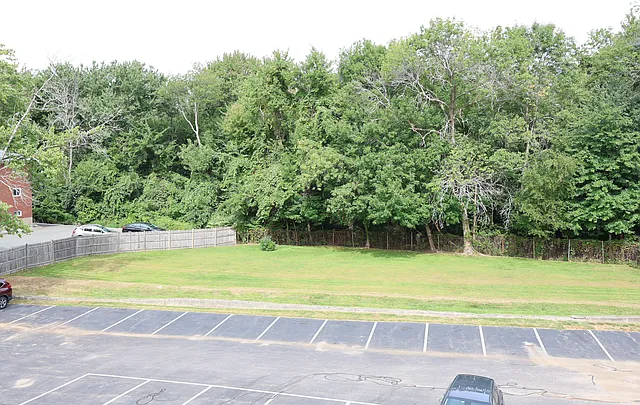 65 Elmwood Park #3 — Photo 4