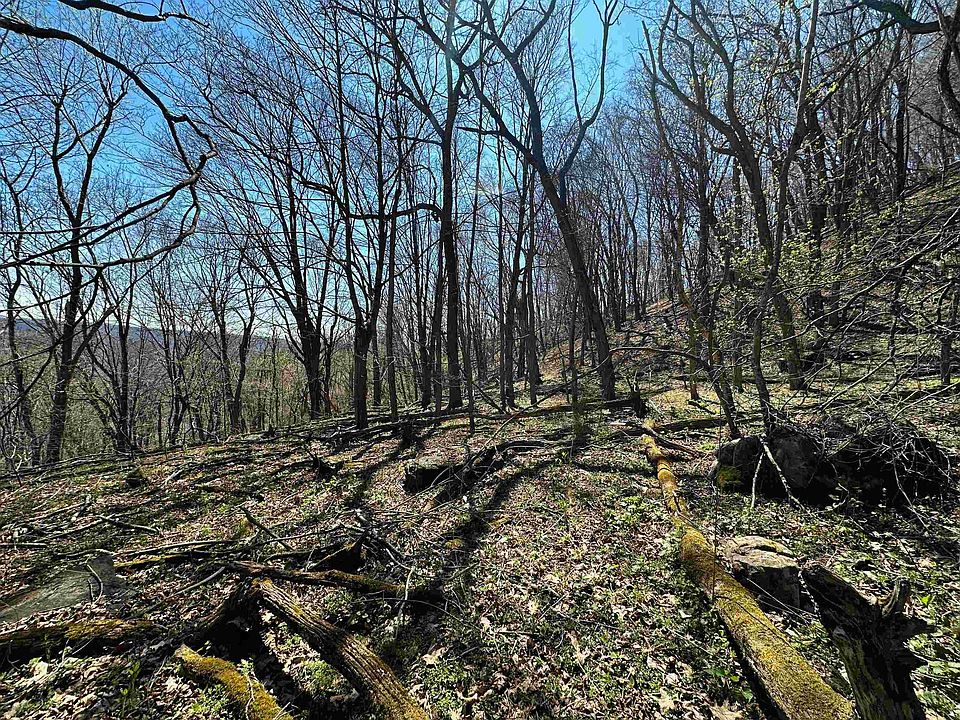 1st image of Mountain Lake Rd