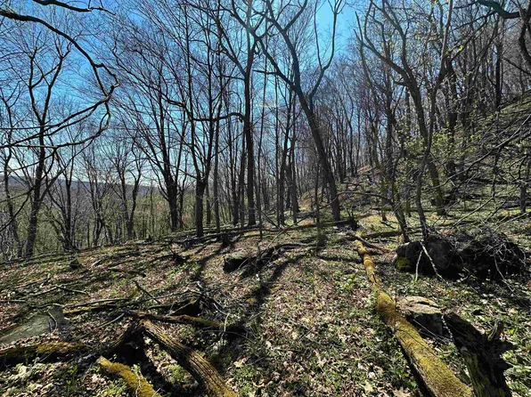 Mountain Lake Rd, Newport, VA 24128