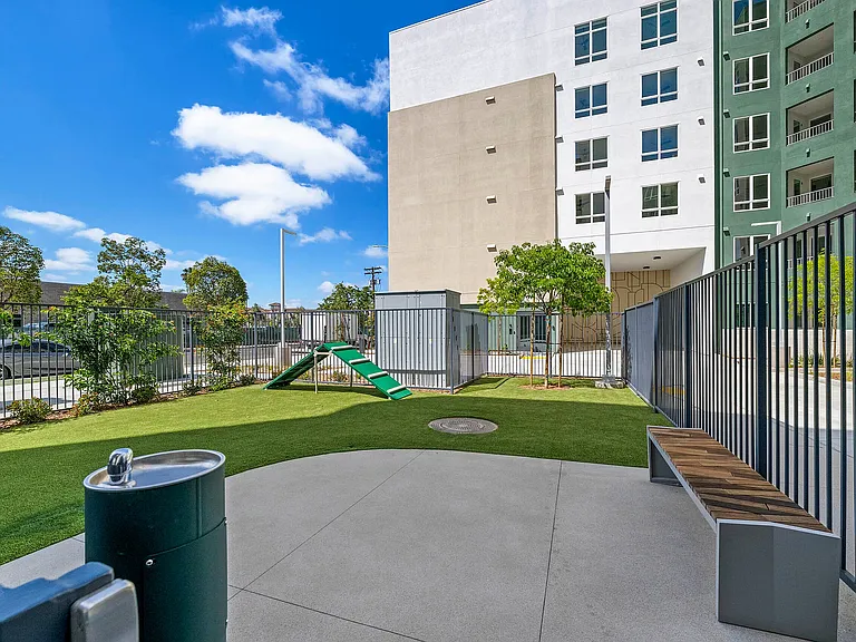 Fenced dog park