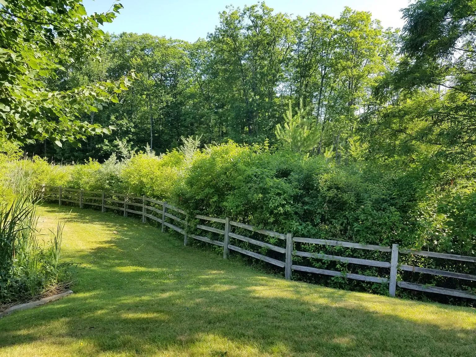2 bed, 1.5 bath, 1432 sqft, $2,650 — Photo 4