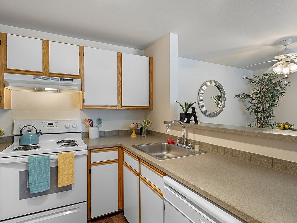 Sleek European-Style Cabinetry