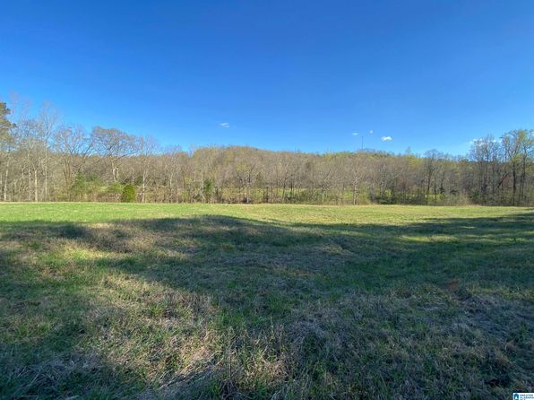 0 State Highway 174 TRACT 8, Springville, AL 35146