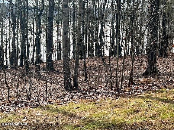 3rd image of 247 E Shore Dr