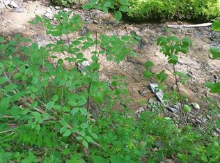 1913 Ridgecrest Loop Ln, Sevierville, TN 37876