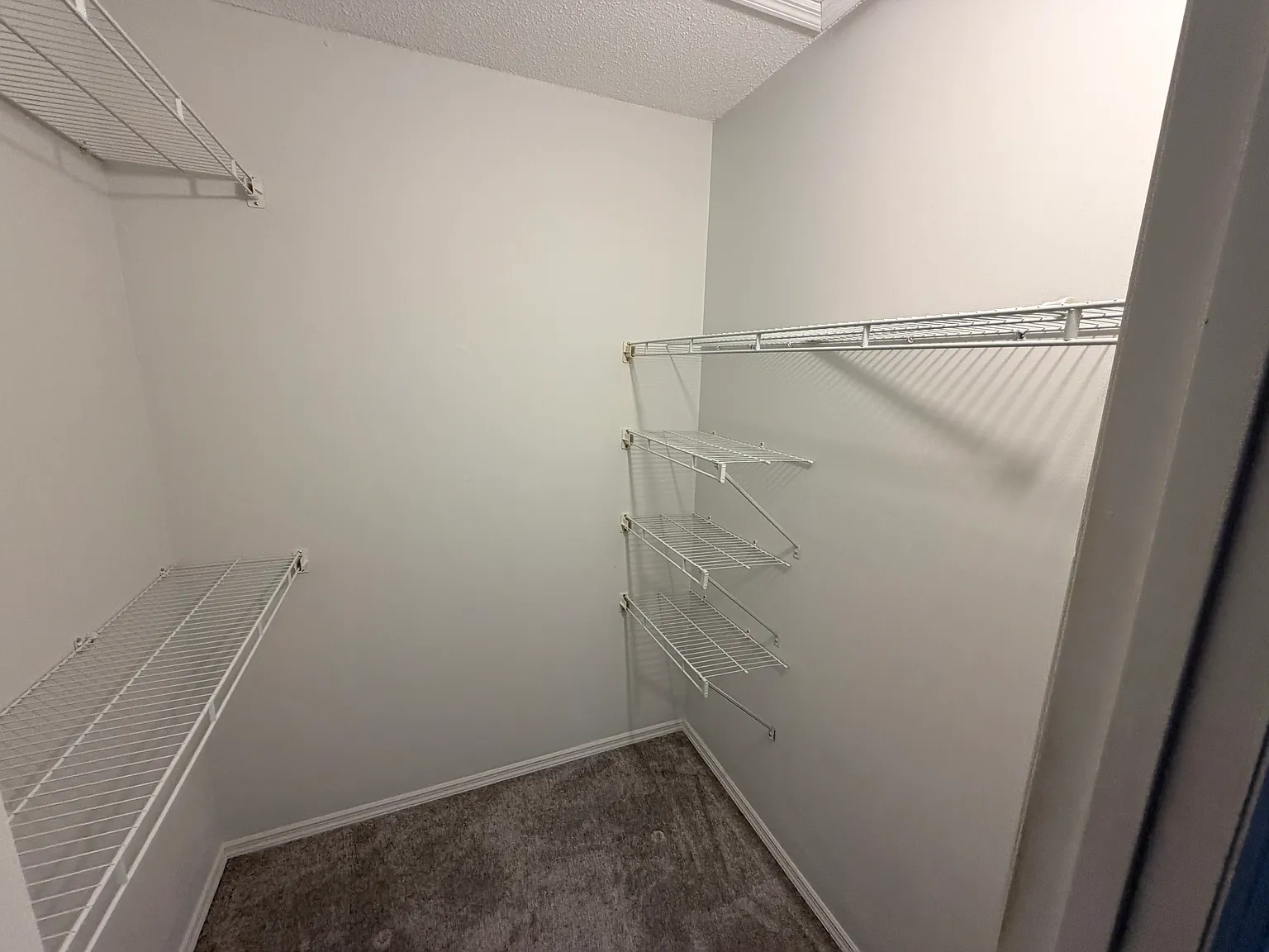2 bed, 1290 sqft, $1,399 — Photo 4