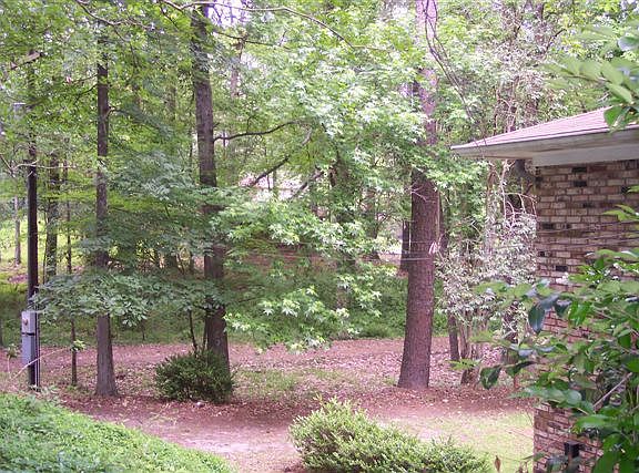 Looking north from patio