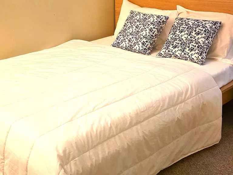 Fully furnished bed room with bed, mattress, walk in closet, arm chair. mirror, lamp, curtains, computer table/chair and private entry to the shared bathroom