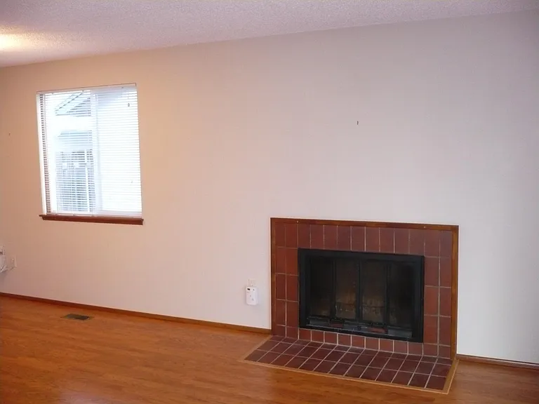 Living Room Fireplace
