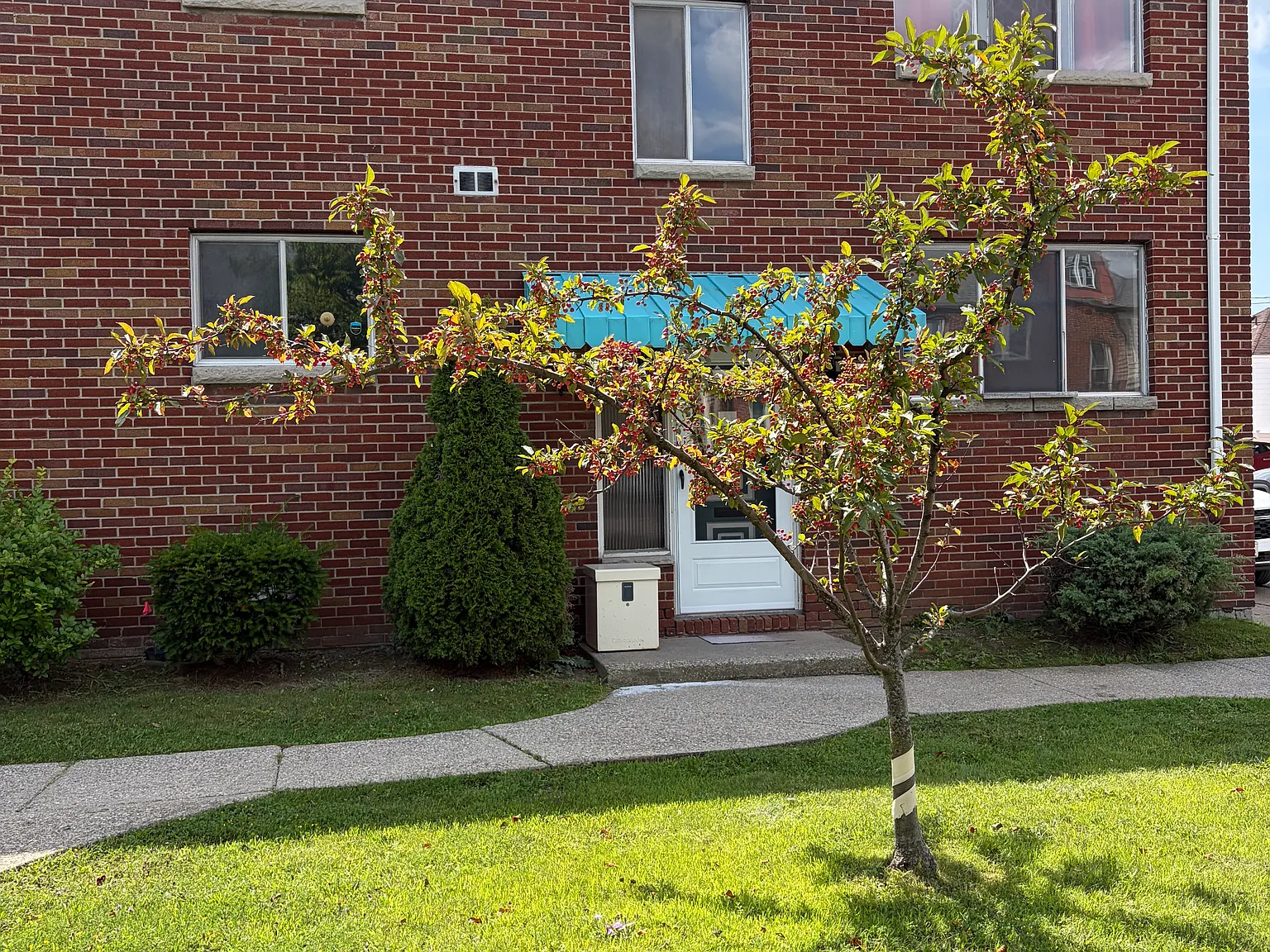 2 bed, $1,300 — Photo 2