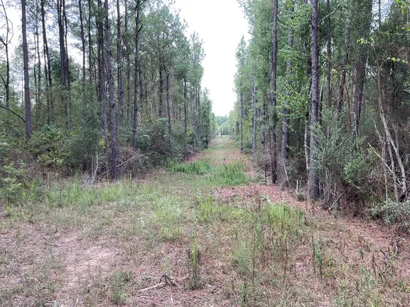 Small Rd, Greensburg, LA 70441