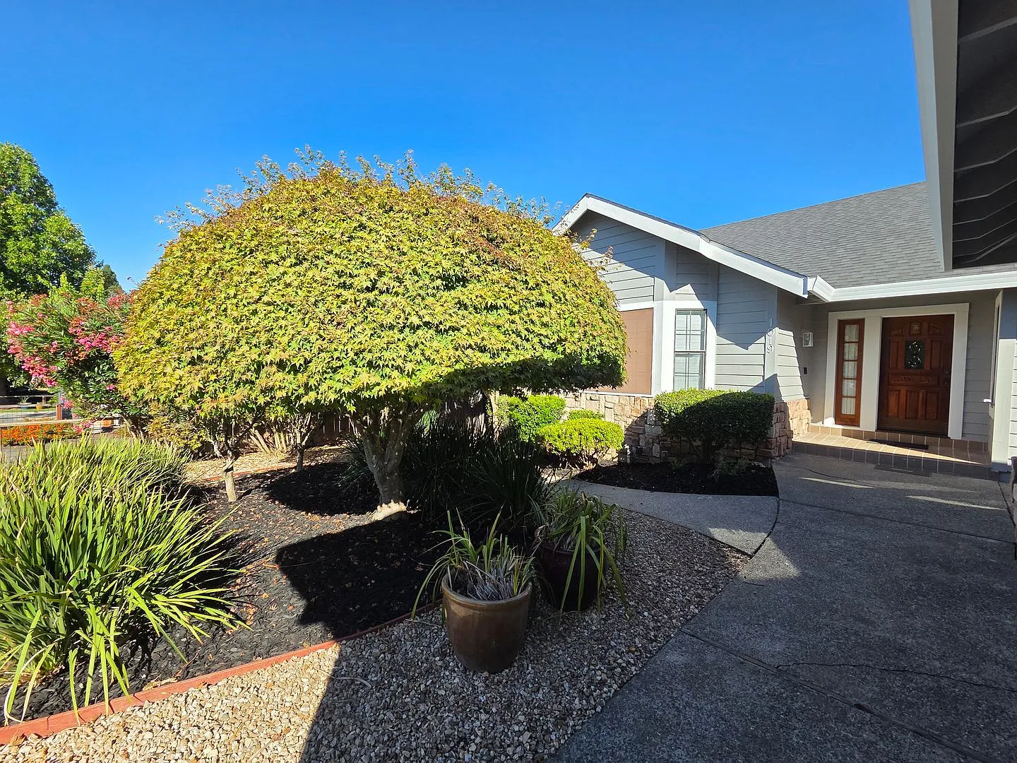Desirable Westside Petaluma - Beautiful and well maintained 3 bedroom, 2 bath — Photo 2