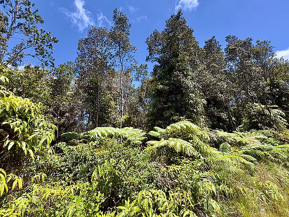 5th image of Nahelenani St Lot 53-B-529