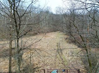 Peters Run Rd, Lumberport, WV 26386