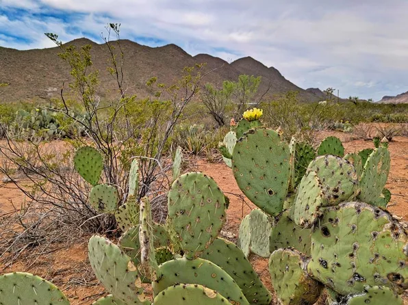 Sombrero Peak Rd, Terlingua, TX 79852
