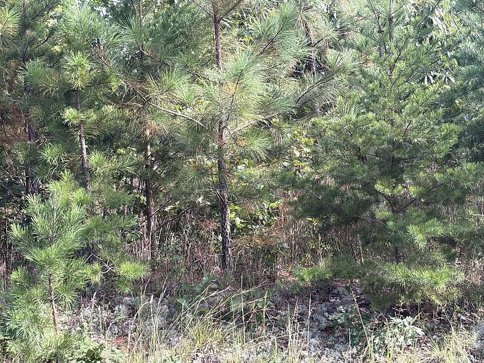 2nd image of 2022 Ashcake Creek Rd