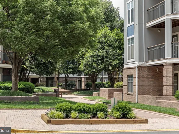 5565 Seminary Rd APT 314, Falls Church, VA 22041