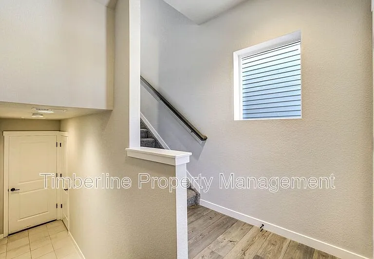 7359 Hunter Jumper Dr — Photo 47