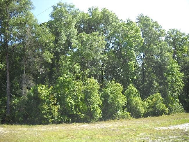 1st image of TBD NE 357th Ave