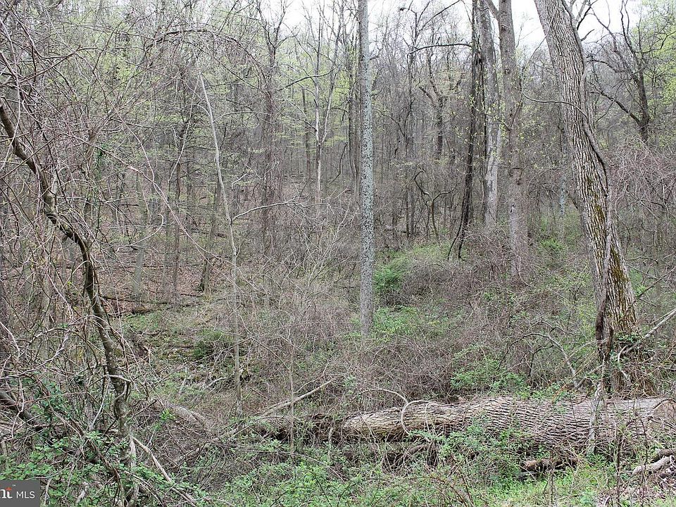 1st image of 49 Mason Dixon Trl