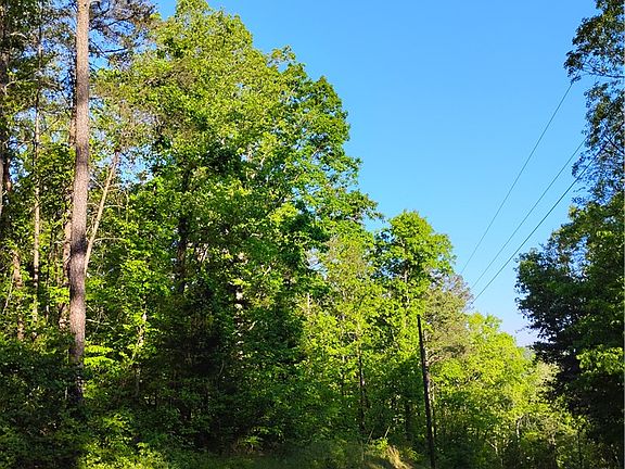 3rd image of 0 Rocky Falls Dr