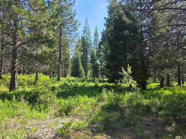 LOT 60 Old Mill Rd, McCloud, CA 96057