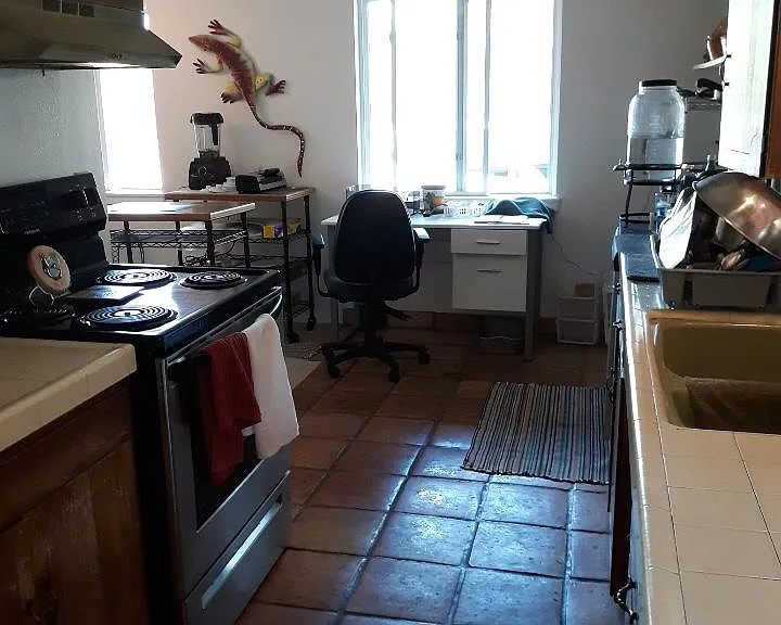 75 Canyon Wren Dr — Photo 8
