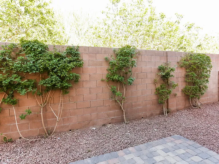 9069 Arbor Ashbury Ave — Photo 15