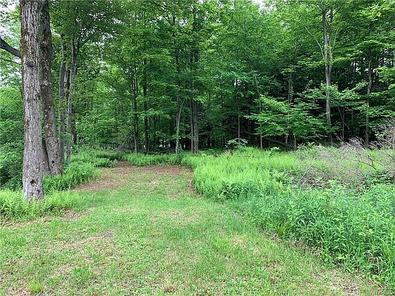 2nd image of 5 Deer Pond Acres