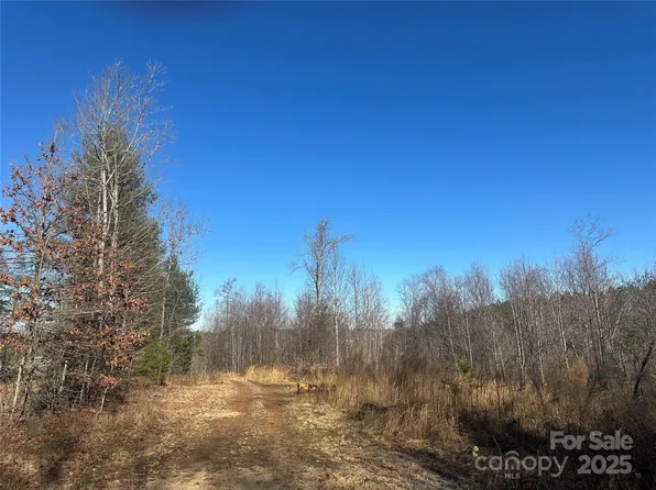 0 Drummond St #4, Connelly Springs, NC 28612