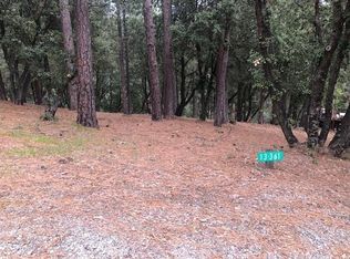 12301 Tower Peak Ct, Groveland, CA 95321