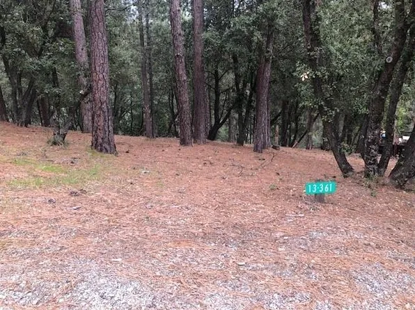 12301 Tower Peak Ct, Groveland, CA 95321