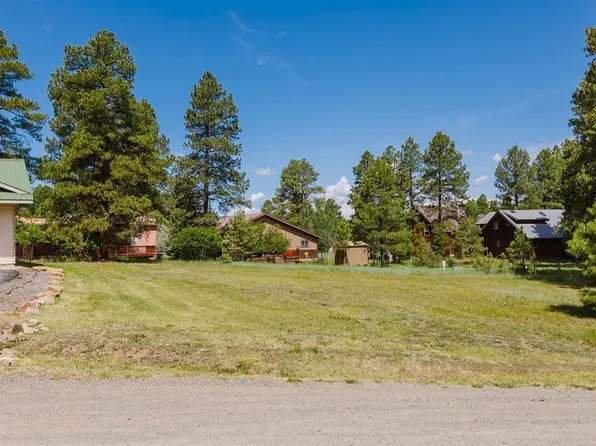 33 S Birdie Court, Pagosa Springs, CO 81147