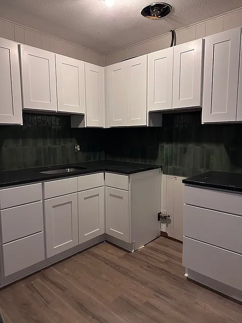 Updated 1 bedroom and 1 bathroom Apartment — Photo 4