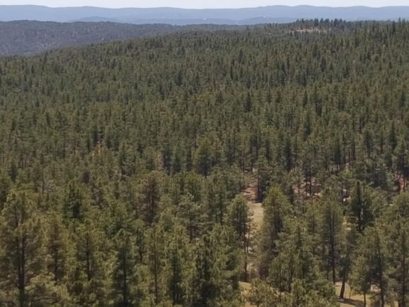 4th image of 17620 County Road 51