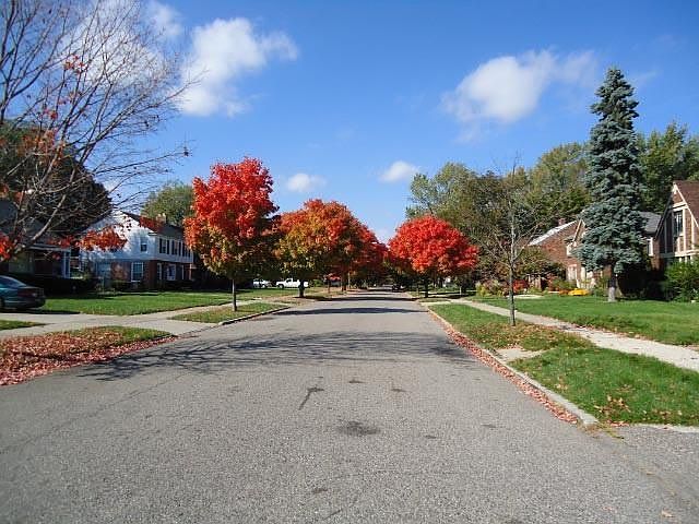 StreetView1