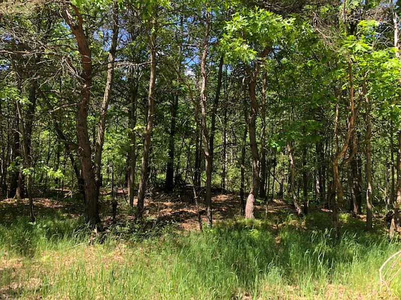 10070 Evergreen Ln photo 1