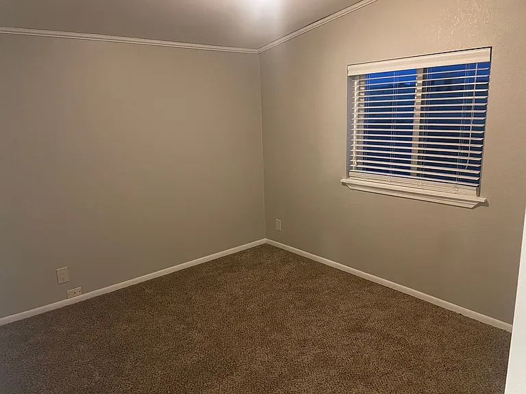 8725 Soap Weed Rd — Photo 14