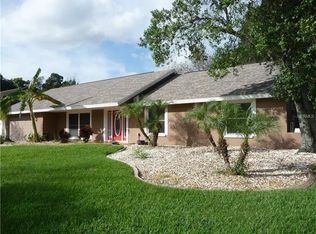 4502 Mohican Trl, Valrico, FL 33594