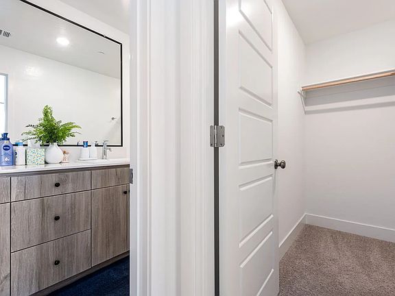 Downstairs bathroom and walk-in closet