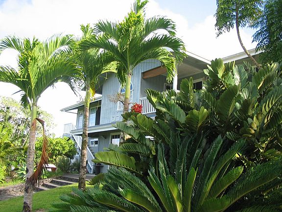 Wandering around the Garden