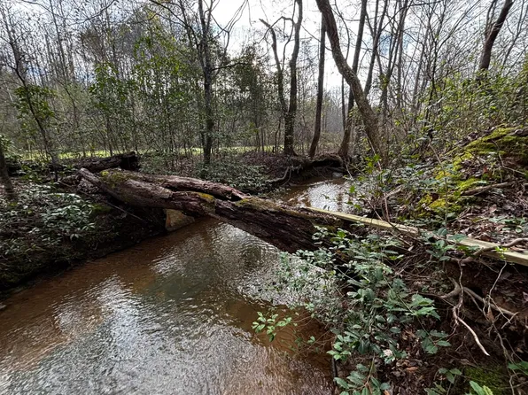 0 County Road 93, Bankston, AL 35542