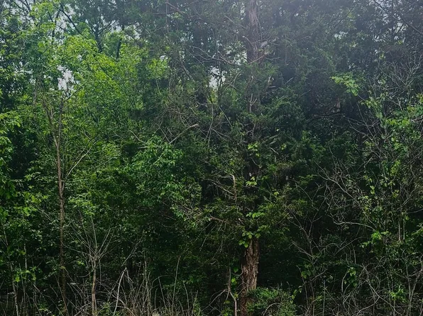 County Road 84, Danville, AL 35619