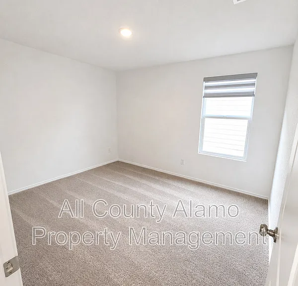 9258 Honey Mesquite — Photo 19