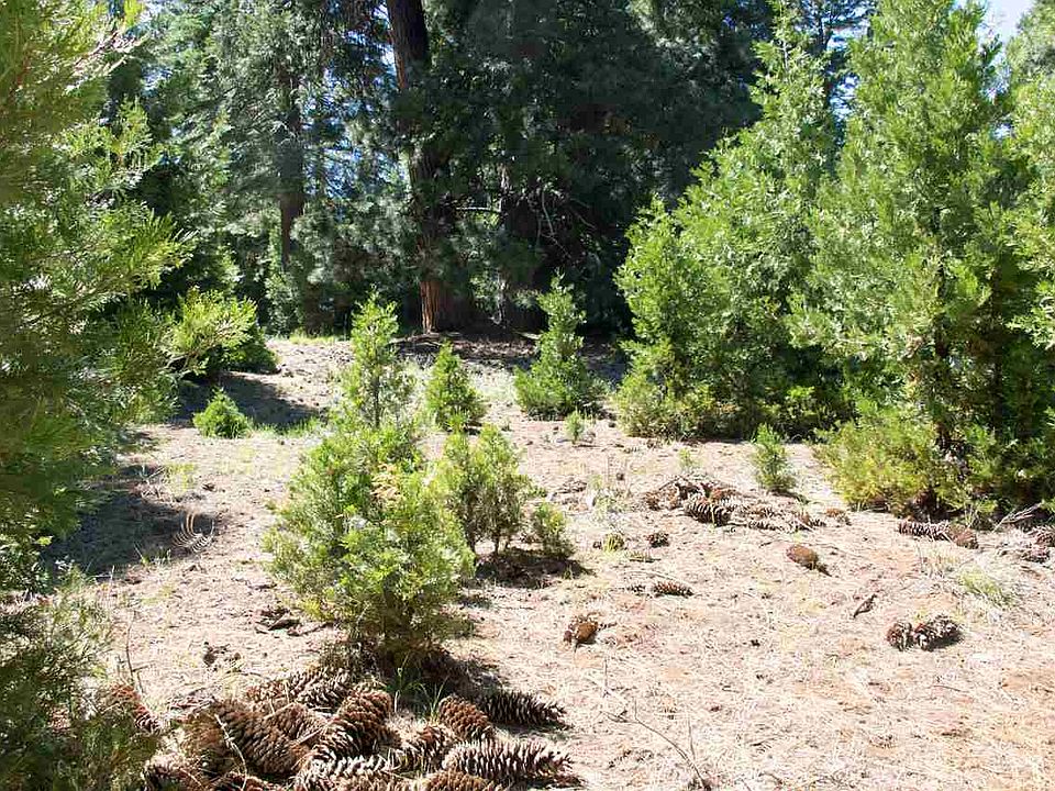 2nd image of 1023 Timber Ridge Rd