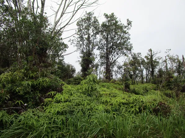 Apuakehau Rd Lot 86, Volcano, HI 96785
