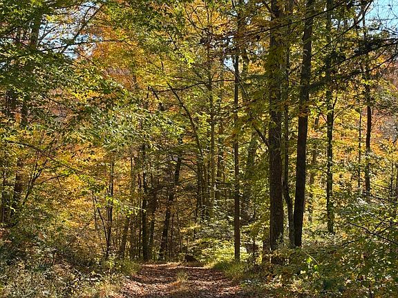 2nd image of 709 Davis Knob Rd
