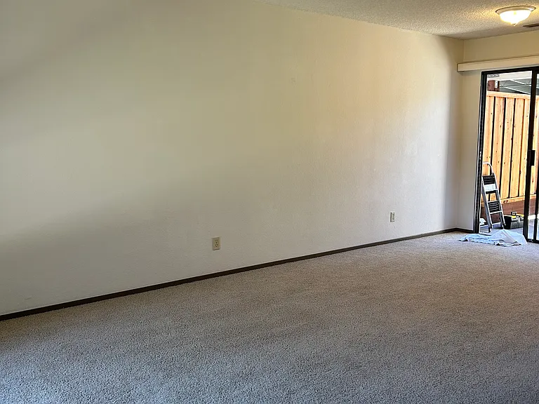 136 Peach Ter — Photo 13